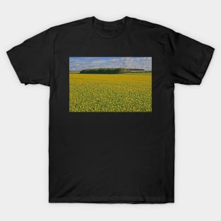 Fields of Gold T-Shirt